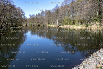Rzeka Radunia w okolicy Pruszcza Gdańskiego. 21.04.2019...