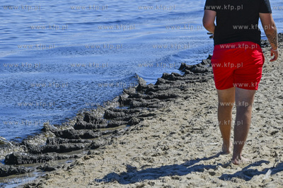 Sopot. Plaza. Zamkniete kapieliska w okolicach sopockiego...