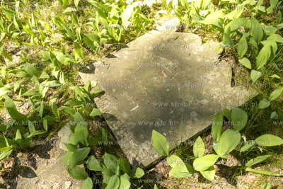 Cmentarz dawnej gminy żydowskiej w Skarszewach, założony...