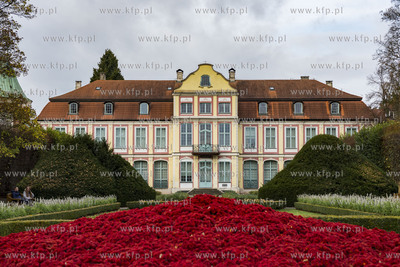 Gdańsk. Park Oliwski.31.20.2019 Fot. Anna Bobrowska...