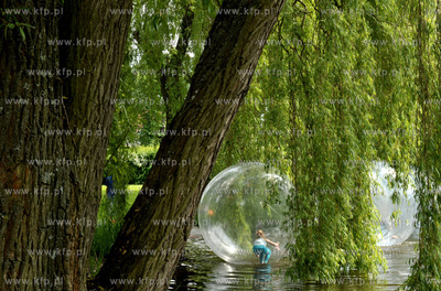 XV Wielki Festyn Rodzinny z okazji Dnia Dziecka w Parku...