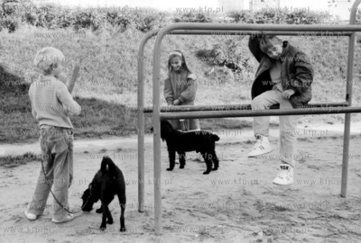 Dzieci na trzepaku w Kartuzach na Kaszubach. 10.1991...