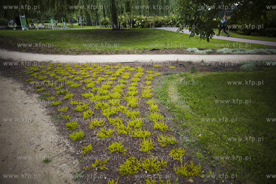 Gdańsk. Park nad Strzyżą.
18.07.2017
fot. Krzysztof...