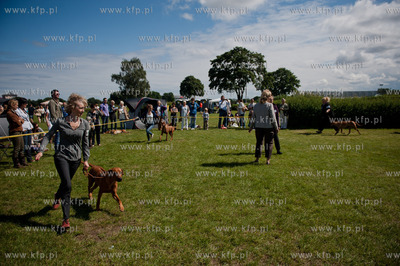 Sopot. Hipodrom. XX Miedzynarodowa Wystawa Psow Rasowych.
12.08.2012
fot....