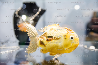 Miedzynarodowe Targi Gdanskie Amber Expo. Amberif -...