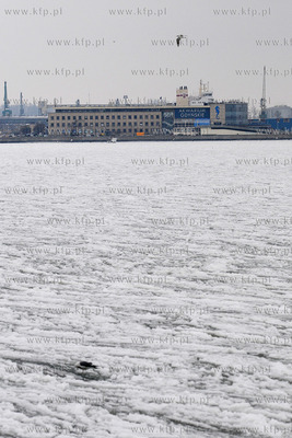 Widoki z Bulwaru Nadmorskiego w Gdyni. Nz. Akwarium...