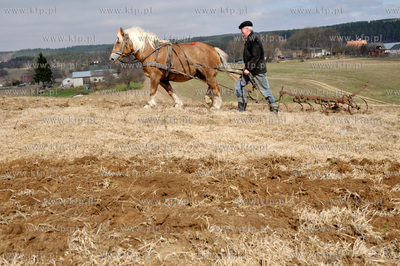 Wiosenne prace rolne przy uzyciu konia w Sulminie na...