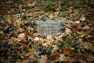 Gdansk - Wrzeszcz. Zapomniany cmentarz urnowy z poczatku...