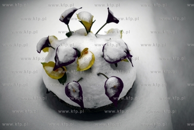 Gdansk Nowy Port. Cmentarz.
15.01.2013
fot. Krzysztof...