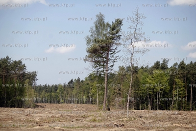 Trasa przyszlej Pomorskiej Kolei Metropolitalnej. Nz....