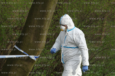 Gdańsk Brzeźno. W parku, niedaleko wejścia na plażę,...