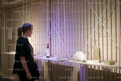 Gdynia Design Days, Wystawy w  Pomorskim Parku Naukowo...