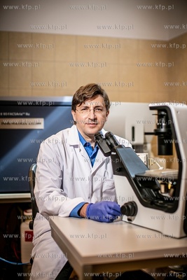 prof. Piotr Trzonkowski ( PolTREG ).
08.09.2021
fot....