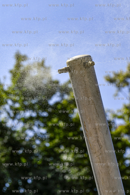 Mgiełka wodna przy Hali Targowej przy ul. Pańskiej....