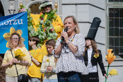 Gdańsk. Żonkilowa parada w ramach akcji Pola nadziei...