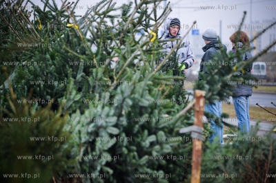 Gdansk. Sprzedaz choinek na osiedlu Chelm. 
23.12.2011
fot....