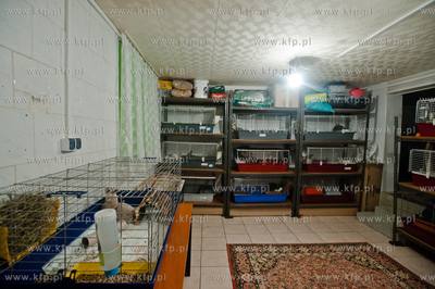 Sopockie Uszakowo - Centrum Adopcyjne Krolikow.
29.03.2013
fot....