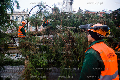 Gdansk. Dlugi Targ. Operacja stawiania swiontecznej...