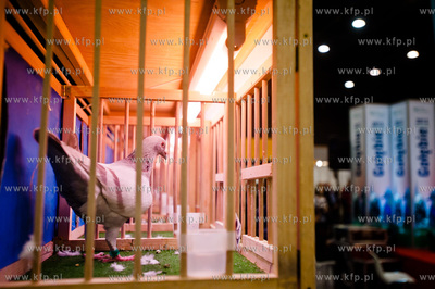 Gdansk. Gdansk. Amber Expo. 8. Miedzynarodowe Targi...