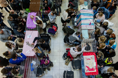 Gdansk. Wrzeszcz. Dzien Kota w CH Galeria Baltycka.
21.02.2016
fot....