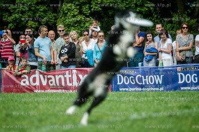 Sopot. Łazienki Połnocne. Zawody Latających Psów.
24.07.2016
fot....