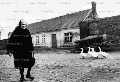 Prawdopodobnie Gdynia Obluze. PROSIMY O INFORMACJE...