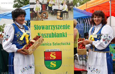 Zlota Gora k. Kartuz. Truskawkobranie to najwieksza...