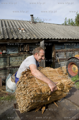 Polskie Stwolno woj. kujawsko-pomorskie  Nz. Gospodarstwo...