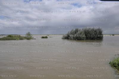 Wal w gminie Pelplin. Przygotowanie umocnien w przesiakajcym...