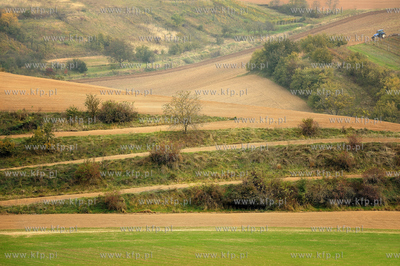 Morawy. Czechy. Okolice miejscowosci Kijev. Nz. pola...