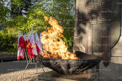 Uroczystości pod pomnikiem Martyrologii Polskich Mieszkańców...