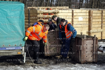 Gdansk. Odlownia dzikow w Parku Reagana.
27.02.2013
fot.Krzysztof...