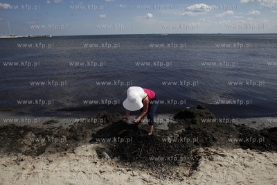 Sopot. Plaza wczesci poludniowej.
12.08.2013
fot....