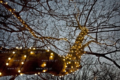 Świąteczna Instalacja świetlna na Placu Świętopełka...