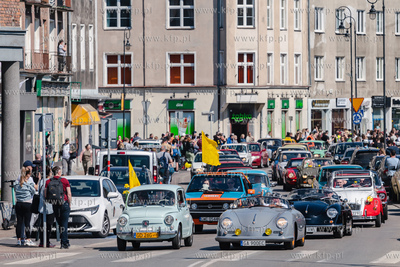 Gdańsk. Żonkilowa parada w ramach akcji Pola nadziei...