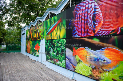 Sopot. Budynek dawnego klubu nocnego Enzym. Nowo otwarte...