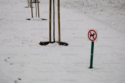 Gdansk. Kwietniowy atak zimy. 
04.04.2012
fot. Mateusz...