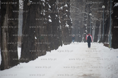 Gdansk. Park Stefensa wzdluz Al. Zwyciestwa.
20.03.2013
fot....