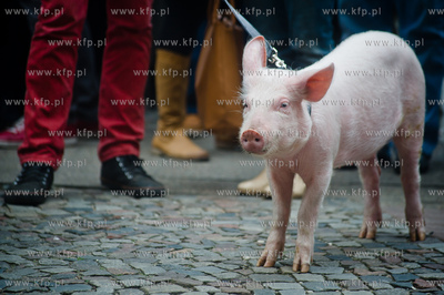Gdansk. Obchody 55 lecia Polskiego Rock & Rolla. Odsloniecie...