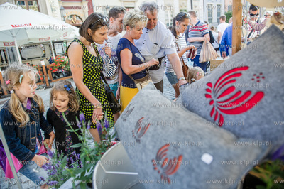 Gdansk. Dlugi Targ. DoMINIk designe - towarzyszacy...