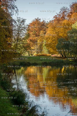 Gdansk. Jesienne, sloneczne przedpoludnie w Parku Orunskim.
27.10.2015
fot....