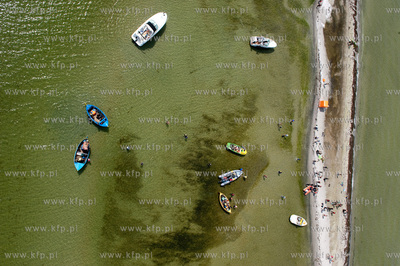 Marsz Sledzia odbywa sie Rybitwia Mielizna (Rewa Mew)...