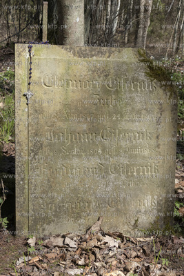 Dawny cmentarz ewangelicki w lesie w Żuławce w gminie...