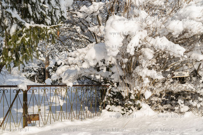 Zima w Dobrzewinie, wsi na Kaszubach w powiecie wejherowskim.10.02.2021...