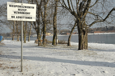 Gdansk Nowy Port.  Tablica i stare drzewa na ul. Starowislnej....