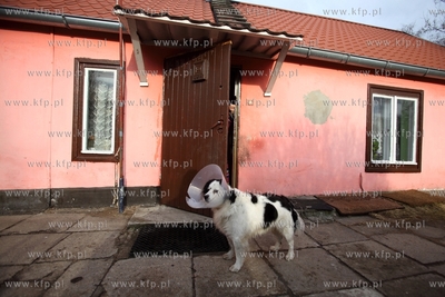 Domy rybackie przy ul. Baltyckiej w Gdansku Jelitkowie.
12.02.2014
fot....