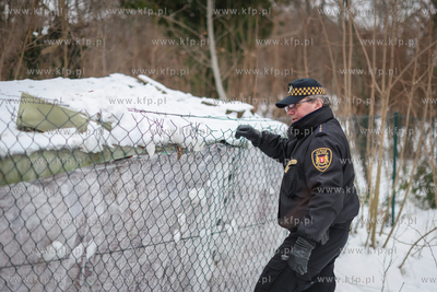 Zimowy patrol gdańskiej Straży Miejskiej polegający...