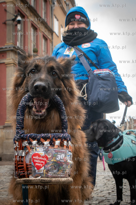 Gdańsk, Długi Targ. 30 Finał Wielkiej Orkiestry...
