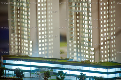 Gdansk. Amber Expo. Targi mieszkan i domow.
02.03.2013
fot....