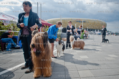 Gdansk. Teren przed stadionem PGE Arena. Miedzynarodowa...